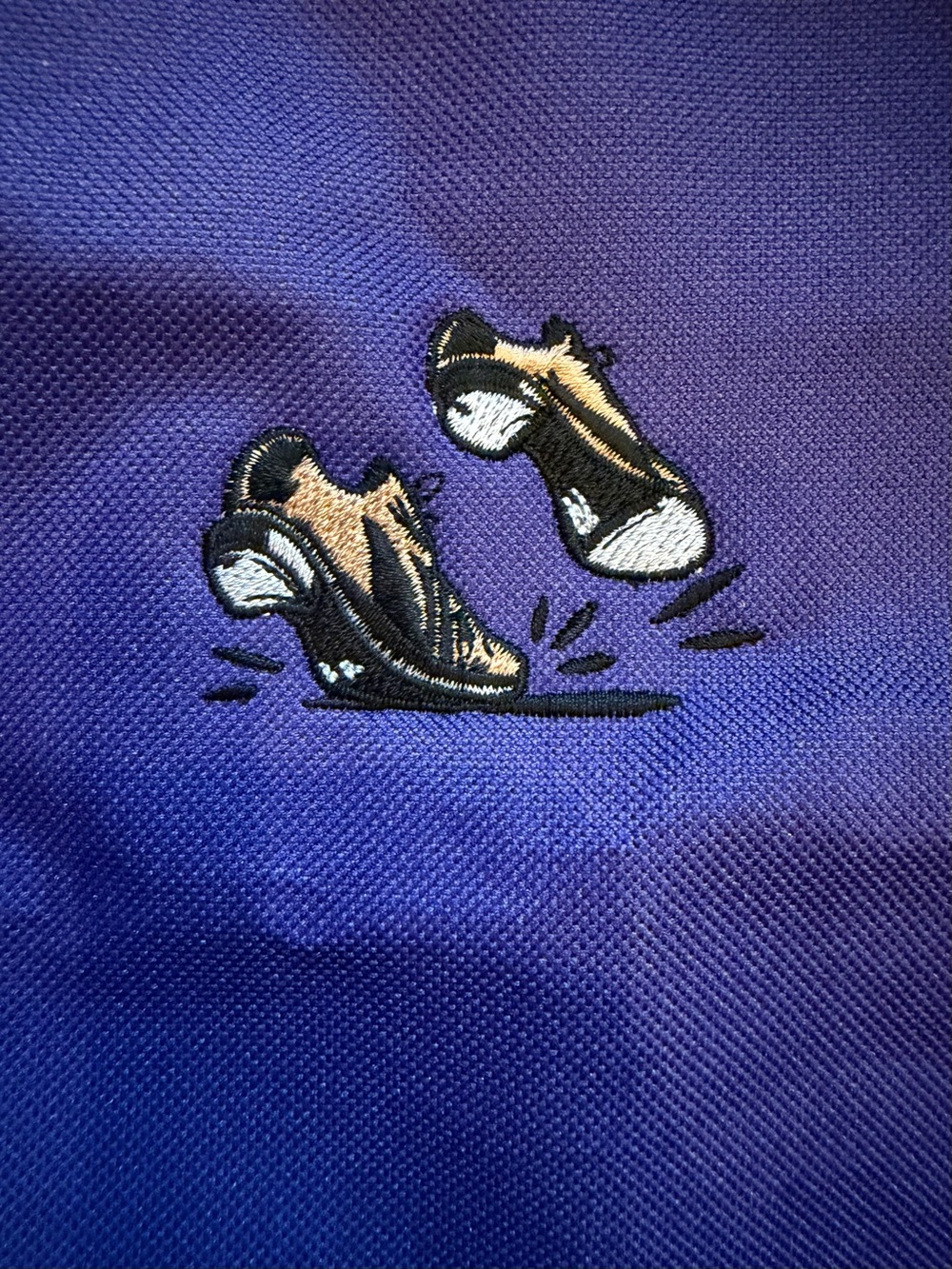 Kids Purple Embroidered Graphic Tote Dance Bag Tap Shoes